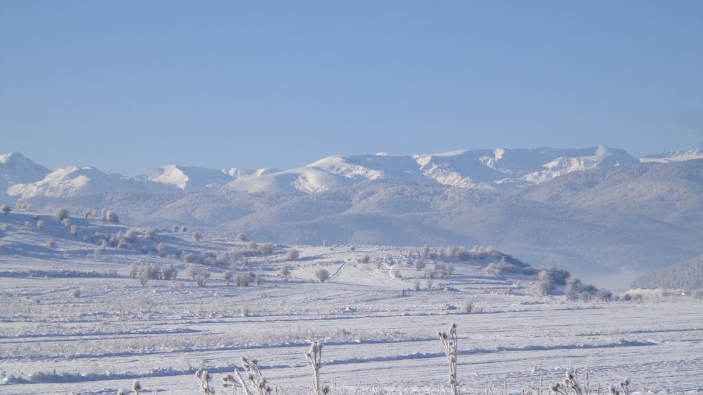 Shiroki Dol Sveti Nikola Villas Near Borovets الغرفة الصورة